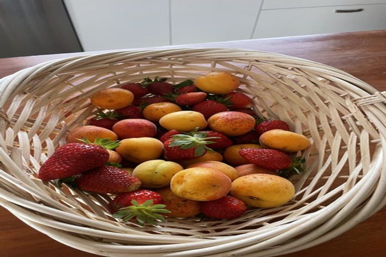 Photo of property in Dunkerron Farm, 852 Oneriri Road, Kaiwaka, 0573