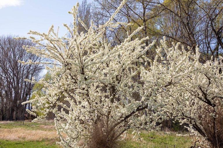 Photo of property in 58 Hawley Road, Blackmans, Alexandra, 9391