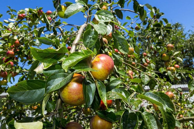 Photo of property in 28 Moeraki Road, Maoribank, Upper Hutt, 5018