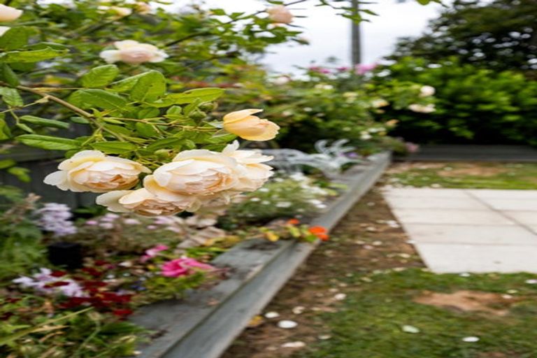 Photo of property in 36 Pearsons Avenue, Claudelands, Hamilton, 3214