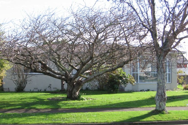 Photo of property in 41 Akaroa Avenue, Awapuni, Palmerston North, 4412