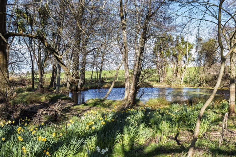 Photo of property in 47 Rowallan Road, Coalgate, Darfield, 7571