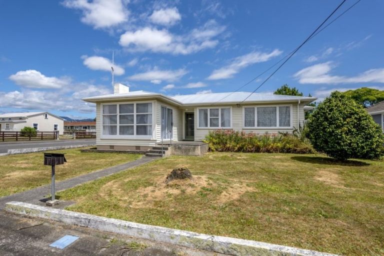 Photo of property in 60 Power Street, Levin, 5510