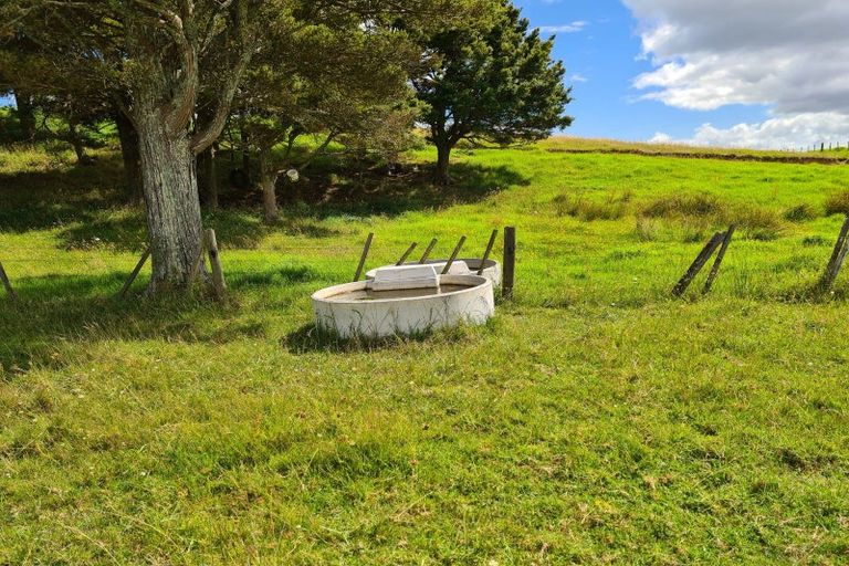 Photo of property in 304 Arapaoa Road, Tinopai, Matakohe, 0593