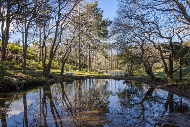 Photo of property in 173 Thompsons Track, Aongatete, Katikati, 3178