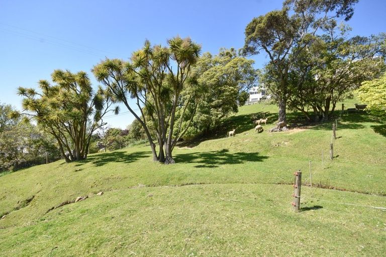 Photo of property in 103 Maryhill Terrace, Maryhill, Dunedin, 9011