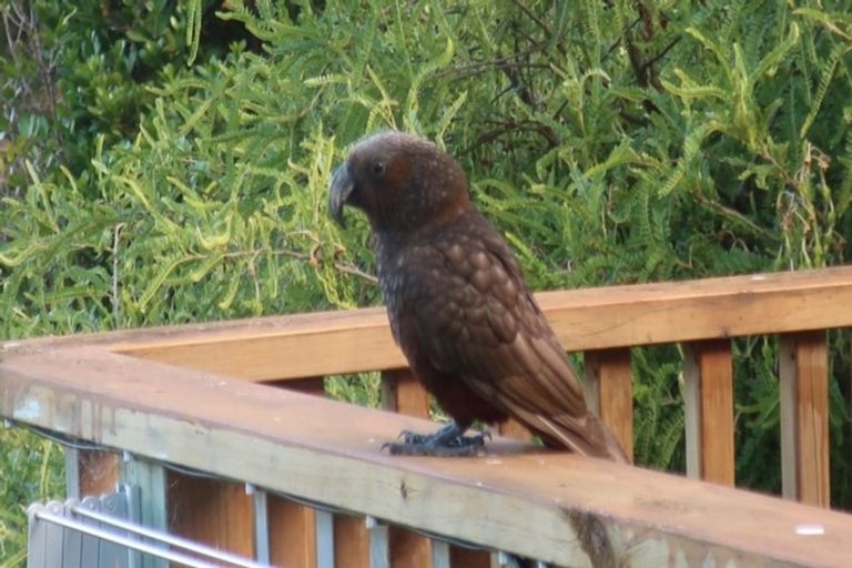 Photo of property in 29 Mortimer Terrace, Aro Valley, Wellington, 6021