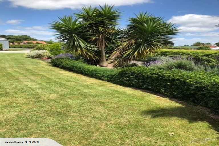 Photo of property in 7b Strathmore Street, Morrinsville, 3300