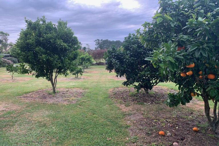 Photo of property in 70 Parore Street, Parore, Dargaville, 0372