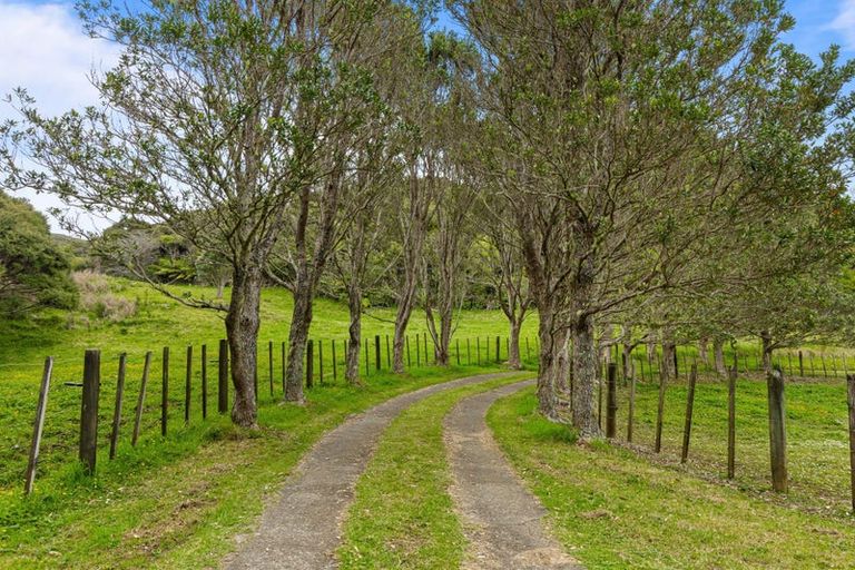 Photo of property in 90 Lone Kauri Road, Karekare, Auckland, 0772