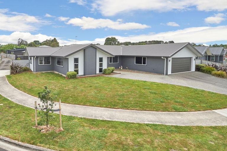 Photo of property in 40 Chestnut Close, Kelvin Grove, Palmerston North, 4414