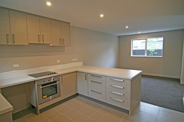 Photo of property in 21c Dickens Street, Addington, Christchurch, 8024