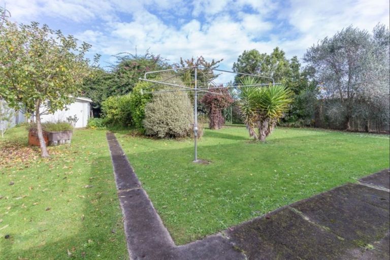 Photo of property in 21 Carlisle Street, Levin, 5510