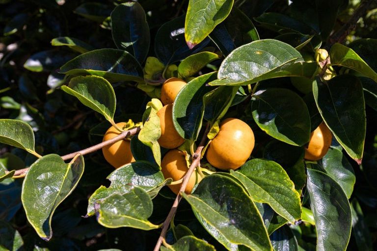 Photo of property in 45 Mahurangi East Road, Snells Beach, Warkworth, 0982