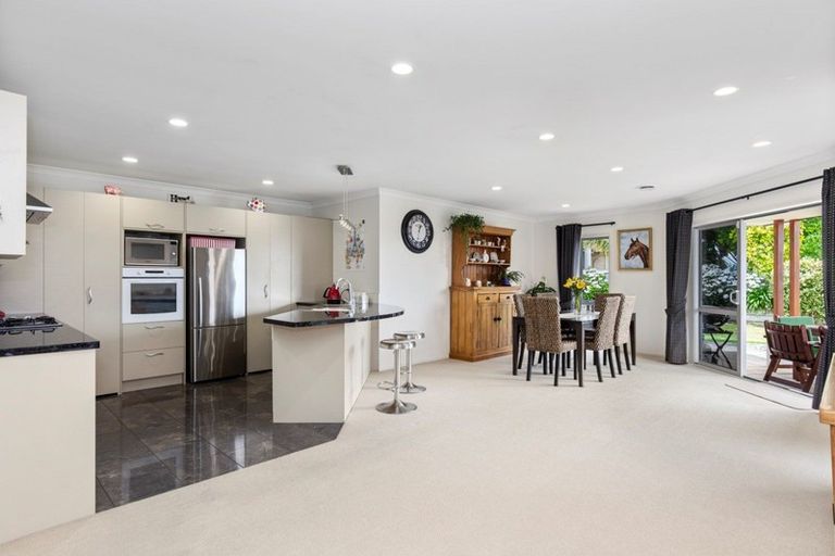 Photo of property in 6 Condor Drive, Pyes Pa, Tauranga, 3112