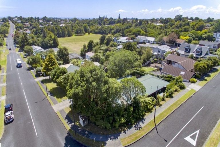 Photo of property in 61 Fernleigh Street, Ferndale, New Plymouth, 4310