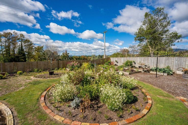 Photo of property in 41 Maire Street, Wairakei, Taupo, 3332