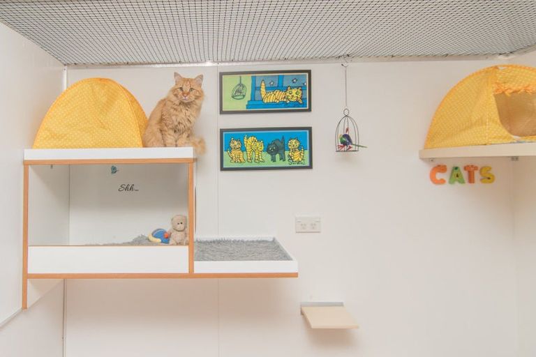 Photo of property in 207 Otipua Road, West End, Timaru, 7910