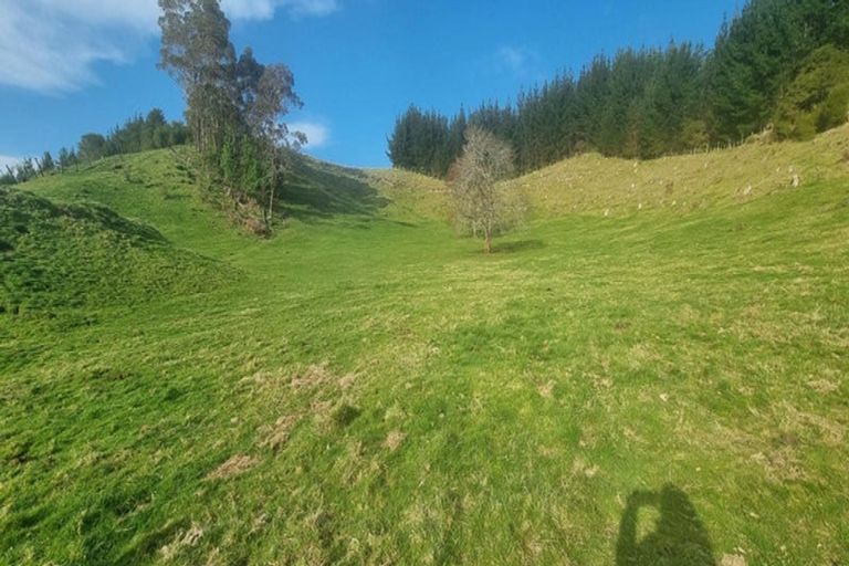 Photo of property in 2877 State Highway 30, Rotoma, Whakatane, 3192