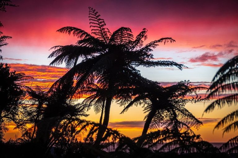 Photo of property in 41 Kilgour Road, Greymouth, 7805