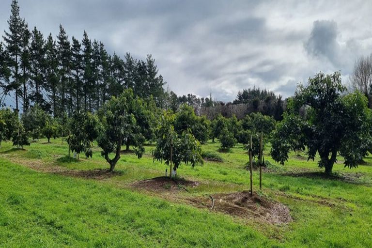 Photo of property in 146 Browns Road, Kaikohe, 0474