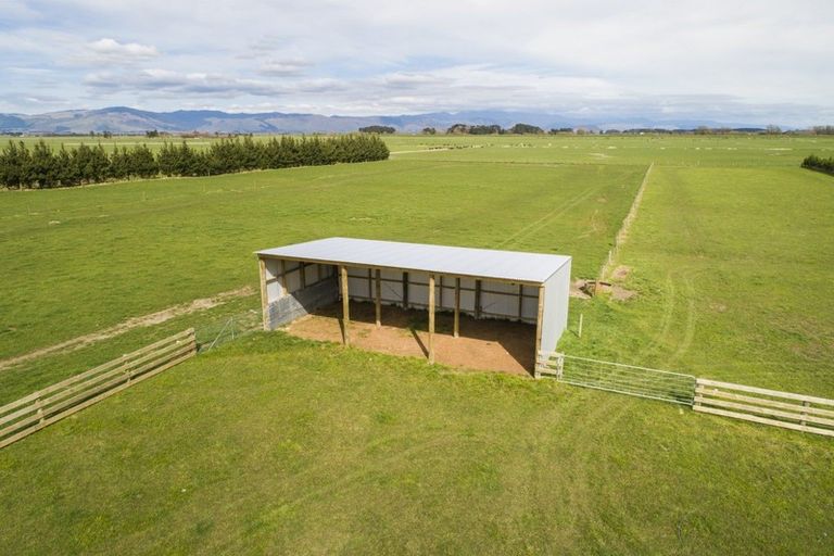 Photo of property in 265 Hoihere Road, Tiakitahuna, Palmerston North, 4477