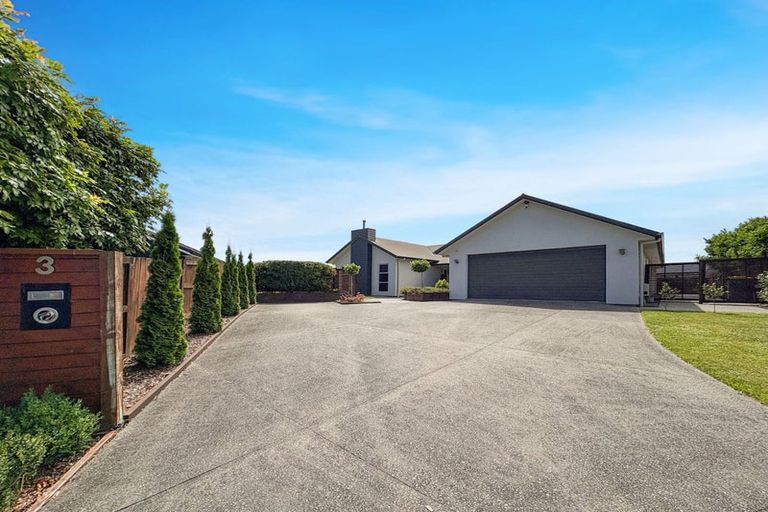 Photo of property in 3 Ripple Lane, Flagstaff, Hamilton, 3210