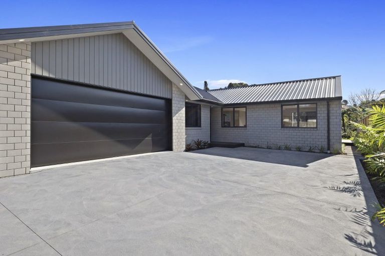 Photo of property in 21a Sycamore Grove, Lower Vogeltown, New Plymouth, 4310