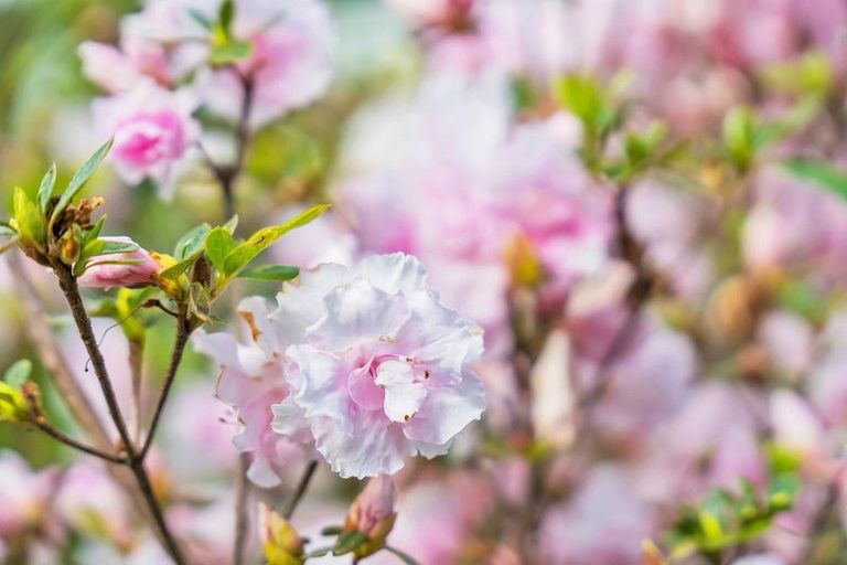 Photo of property in 26 Dashper Drive, Warkworth, 0981