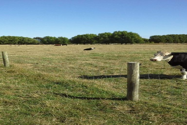 Photo of property in 145 Island Road, Kaiapoi, 7691