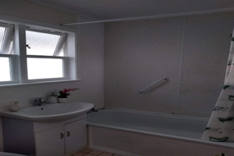 Photo of property in 156 Tiro Tiro Road, Levin, 5510