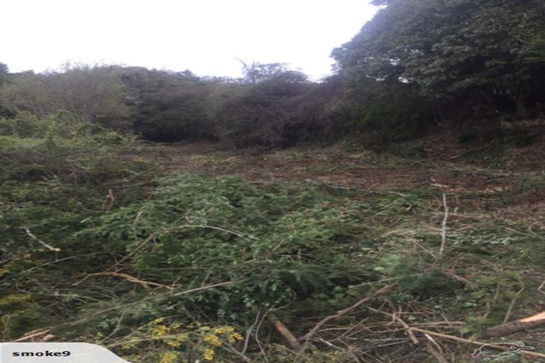 Photo of property in 14 Kowhai Street, Ravensbourne, Dunedin, 9022