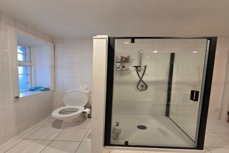 Photo of property in 5 Grass Street, Oriental Bay, Wellington, 6011