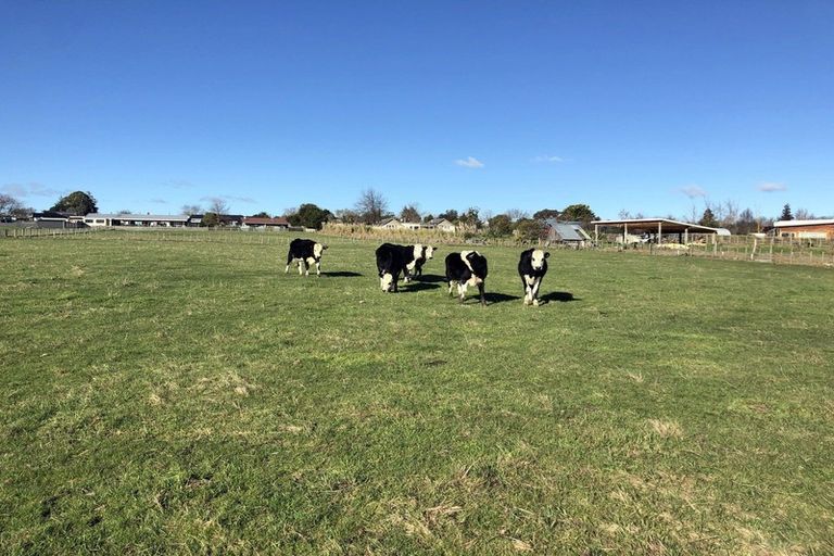 Photo of property in 2/17 Lake View Road, Takapuna, Auckland, 0622