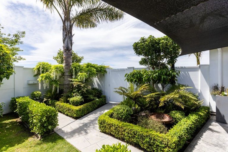 Photo of property in 19 Lochhead Street, Mahora, Hastings, 4120