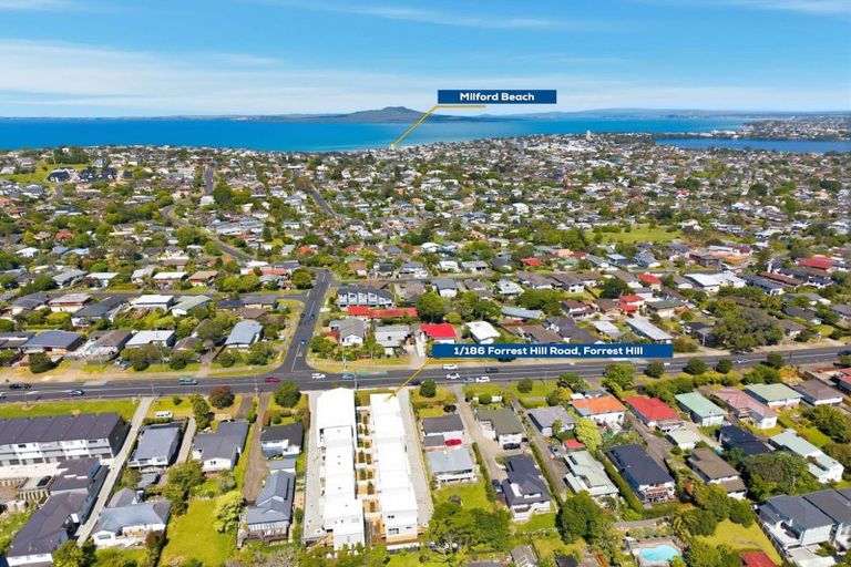 Photo of property in 1/186 Forrest Hill Road, Forrest Hill, Auckland, 0620