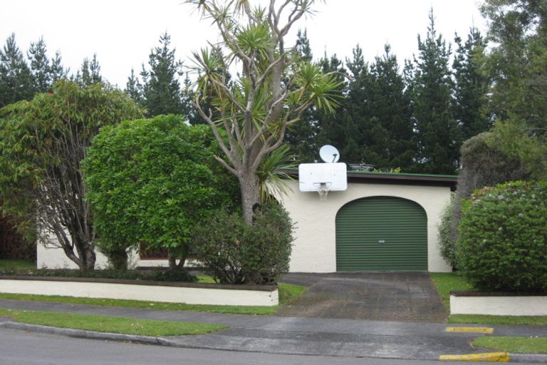 Photo of property in 9 Alpine Grove, Upper Vogeltown, New Plymouth, 4310