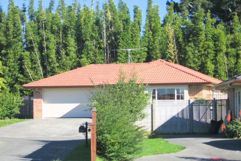 Photo of property in 80 Summerland Drive, Henderson, Auckland, 0612