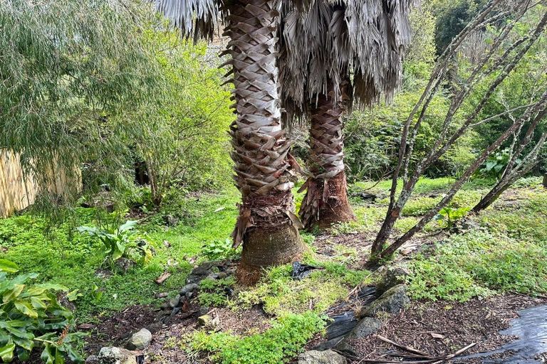 Photo of property in 37 Kamara Road, Glen Eden, Auckland, 0602