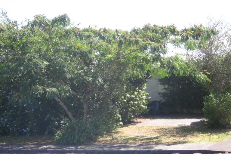 Photo of property in 1/217 Manuka Road, Bayview, Auckland, 0629