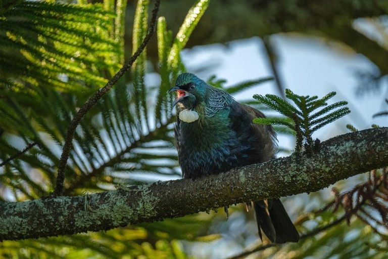 Photo of property in 208 Pomona Road, Ruby Bay, Upper Moutere, 7173