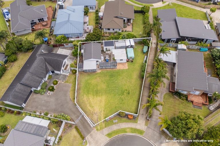 Photo of property in 11 Dotterel Place, Whitianga, 3510