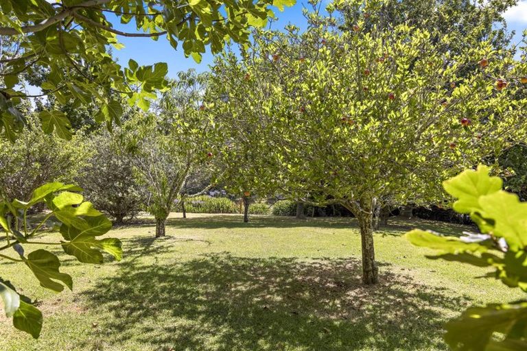 Photo of property in 1556 South Head Road, South Head, Helensville, 0874