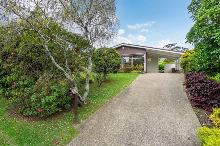 Photo of property in 9 Catalina Crescent, Forrest Hill, Auckland, 0620