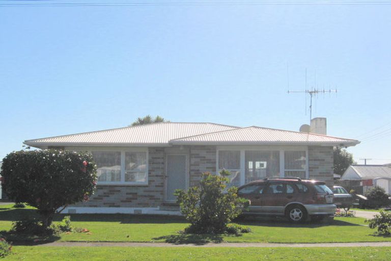 Photo of property in 12 Matai Street, Levin, 5510