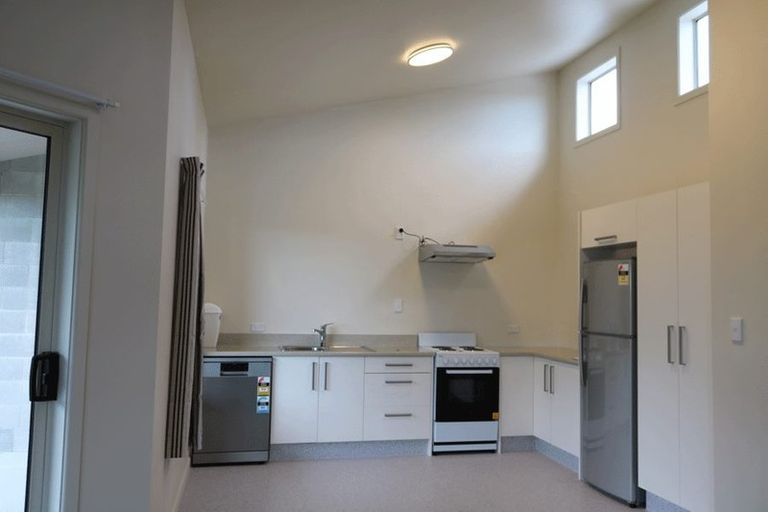 Photo of property in 20 Lachlan Avenue, North Dunedin, Dunedin, 9016