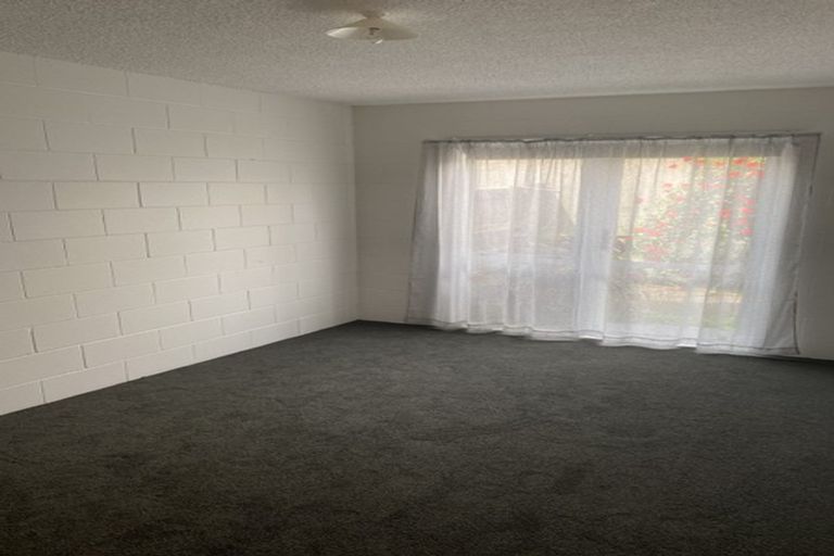 Photo of property in 6/20 Willoughby Street, Whitiora, Hamilton, 3200