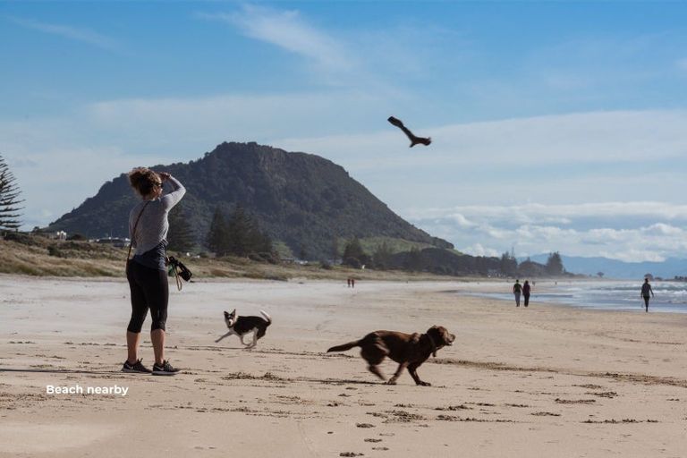 Photo of property in 9 Grove Avenue, Mount Maunganui, 3116