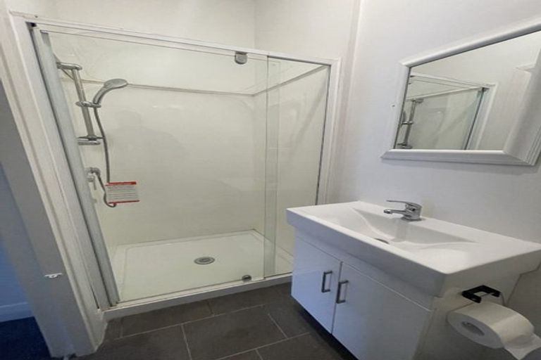 Photo of property in 111 Tasman Street, Mount Cook, Wellington, 6021