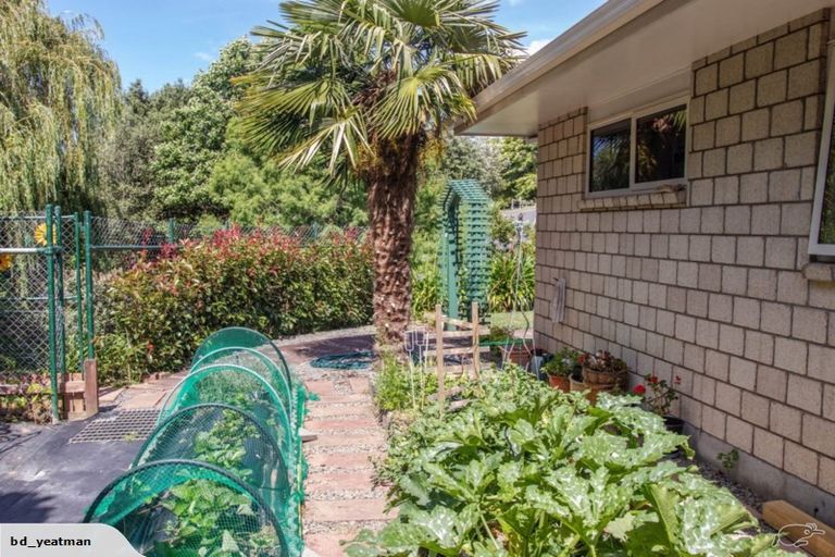 Photo of property in 86 Rowesdale Drive, Ohauiti, Tauranga, 3112